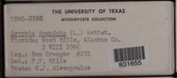 Image Associated With the Occurence